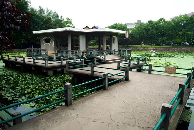 科大参观黄鹤楼、湖北省博物馆春假爆款武汉名校夏令营开启报名j9九游真人游戏第一品牌狮子精品夏令营 探访武汉大学、华中(图2)