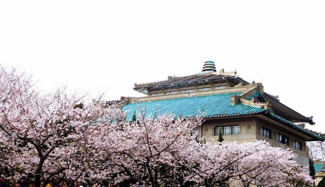 科大参观黄鹤楼、湖北省博物馆春假爆款武汉名校夏令营开启报名j9九游真人游戏第一品牌狮子精品夏令营 探访武汉大学、华中(图29)