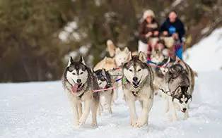 极光你想都没想过的夏天！j9九游会网站入口滑雪看(图2)